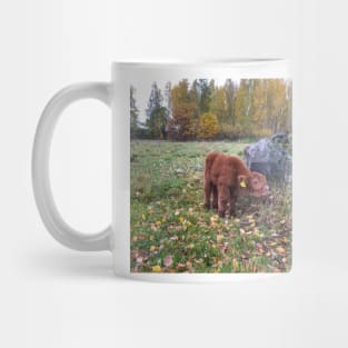 Scottish Highland Cattle Calf 1563 Mug